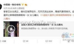 卓伟爆料头条新闻视频在线观看,头条新闻视频揭秘，精彩内容不容错过！